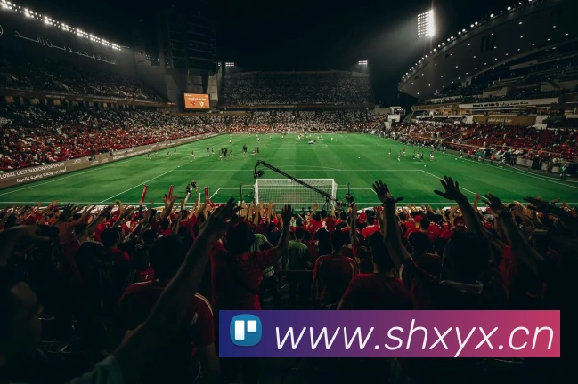 开云app网站登录平台生态图